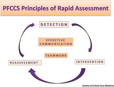 A “Fundamentals” Train-the-Trainer Approach to Building Pediatric Critical Care Expertise in the Developing World